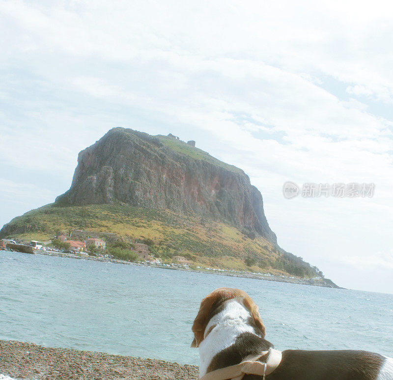 狗狗观光- Monemvasia